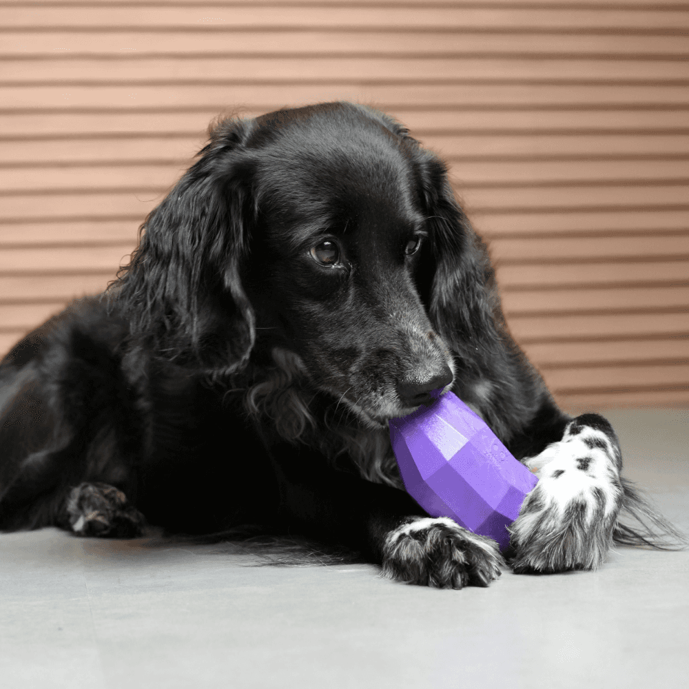 ZEE DOG Super Veggiez Eggplant Dog Toy