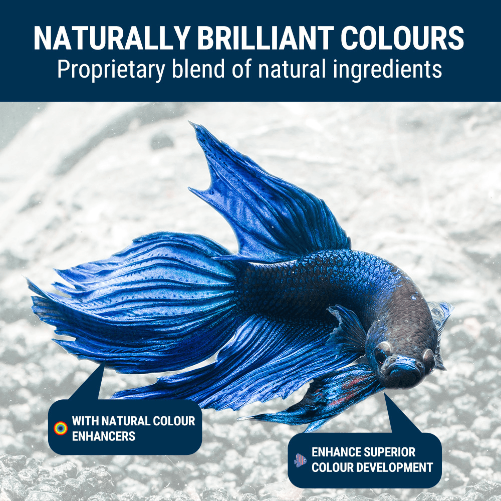 Tetra Tetrabits Mini Tropical Fish Food
