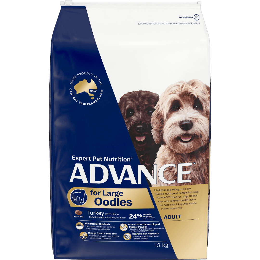advance-large-oodles-dry-dog-food-turkey-with-rice