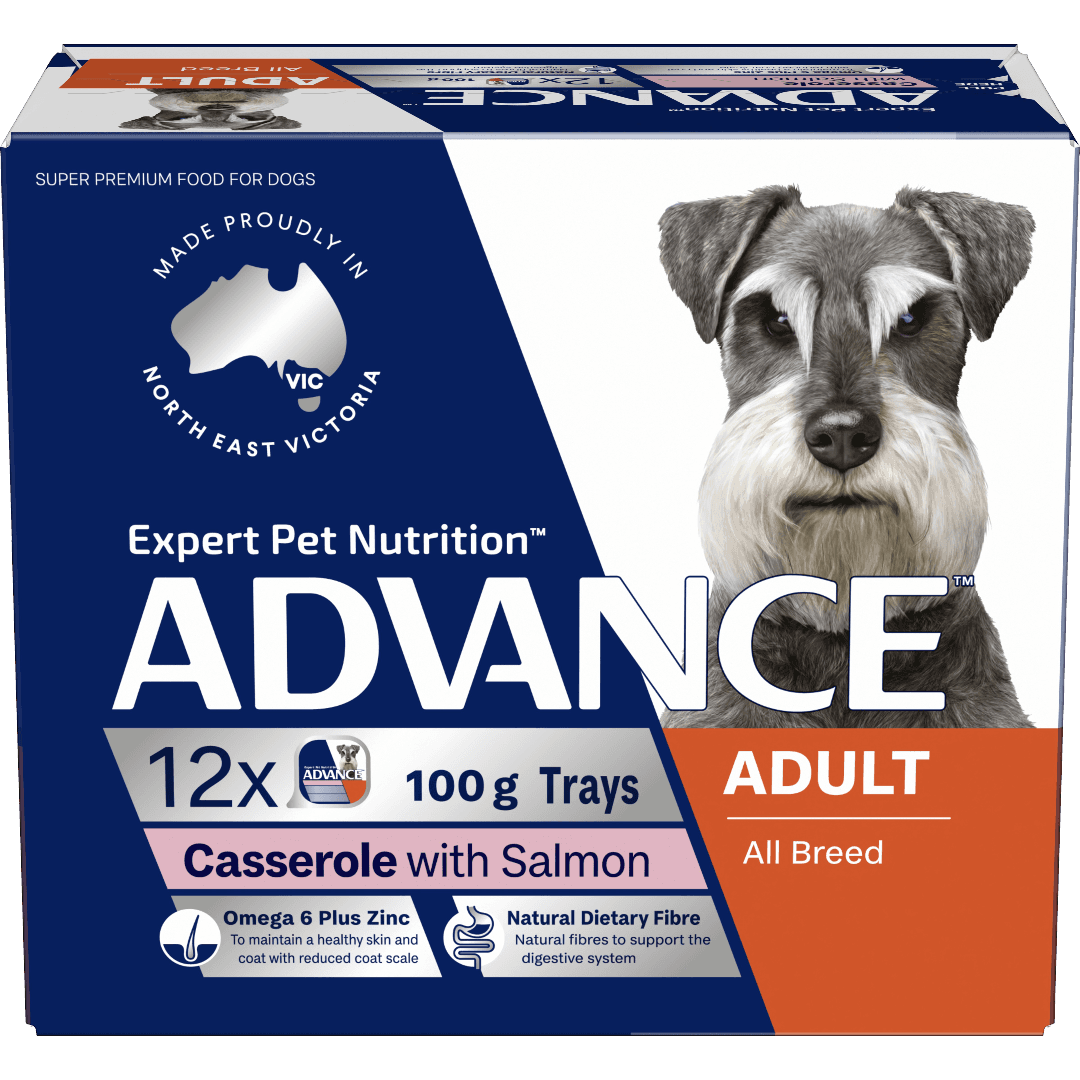 advance-adult-single-serve-salmon-wet-dog-food-trays
