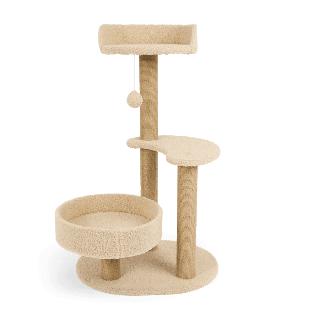 the-catsentials-midsize-cat-scratching-tree