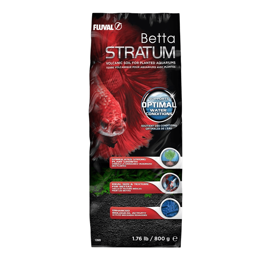 Betta Stratum
