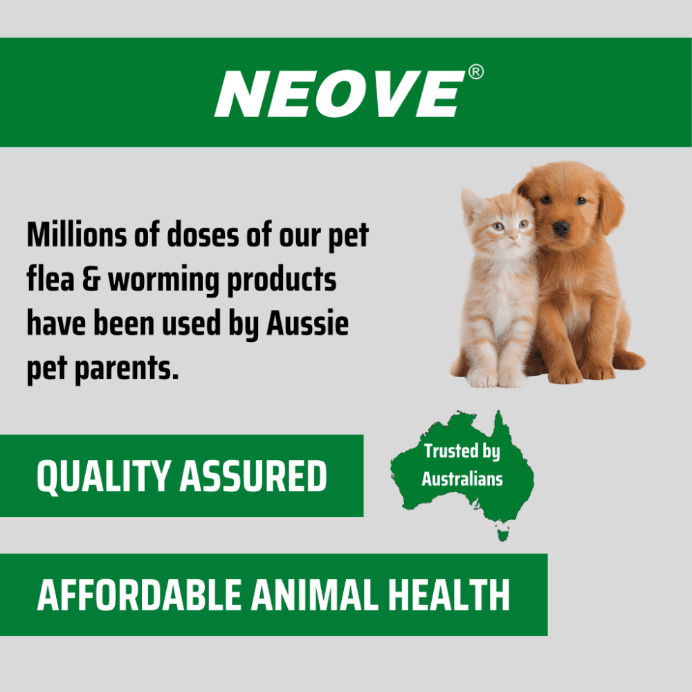 Neovet Flea And Worming For Large Dogs