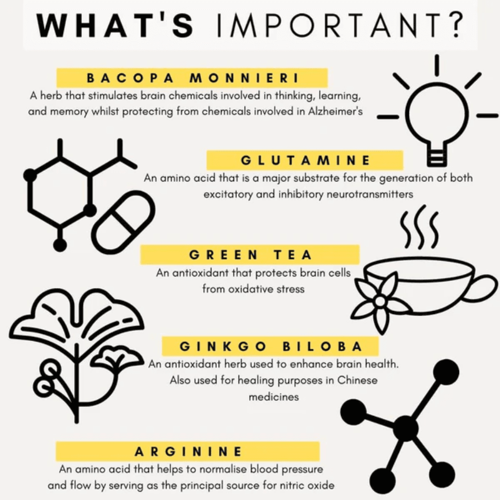 petz-park-brain-support3