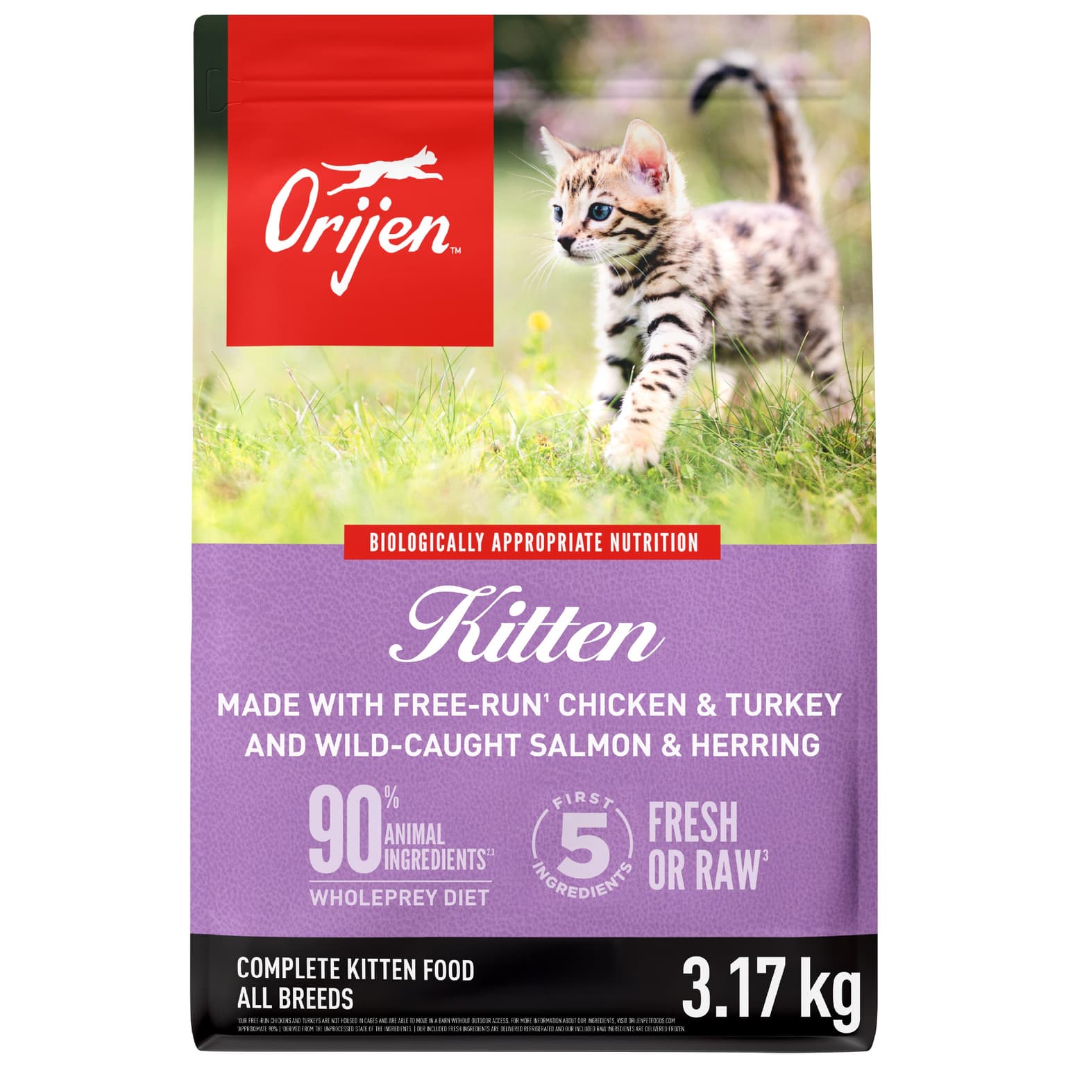 Kitten Dry Cat Food