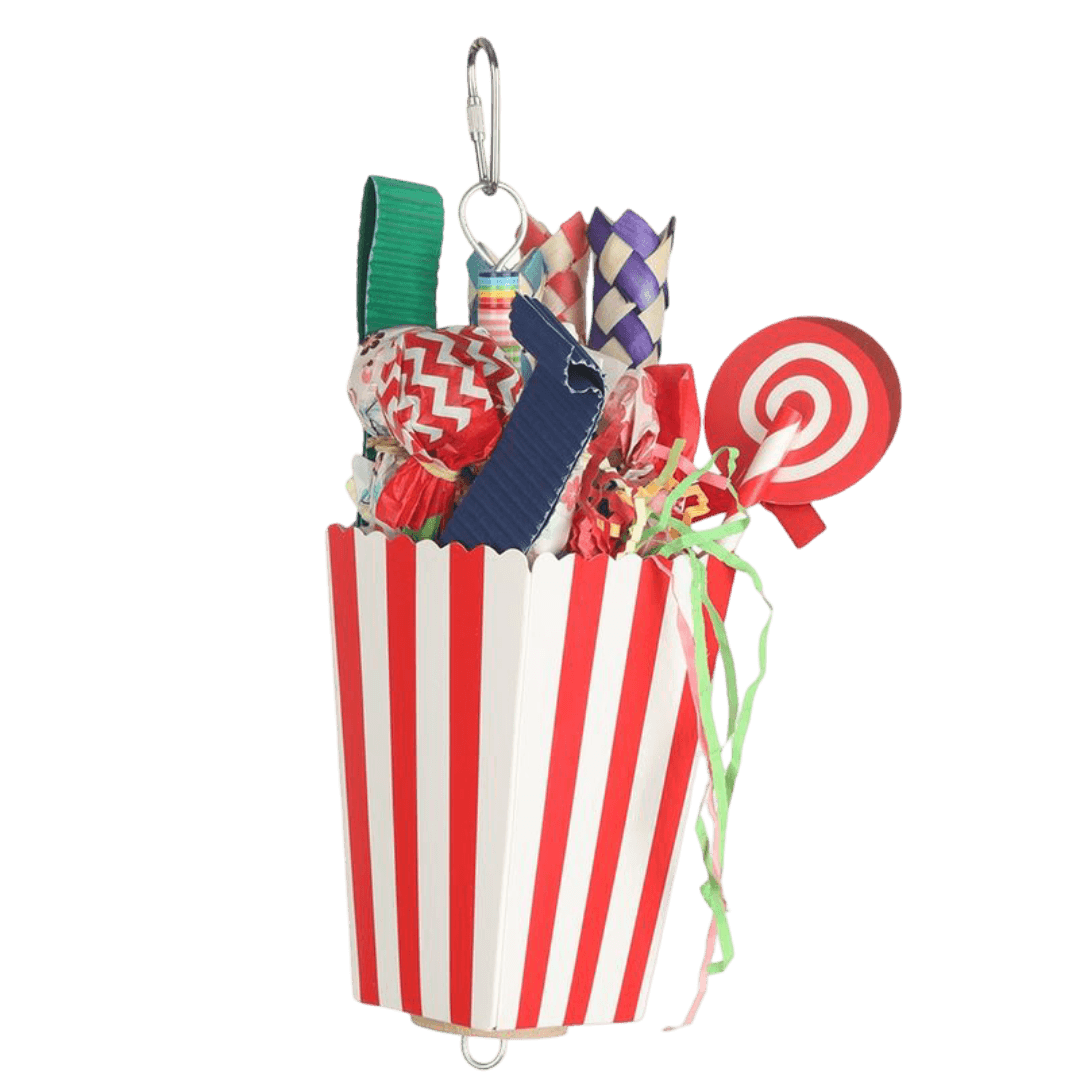 nature-island-carnival-favour-box-hanging-bird-toy