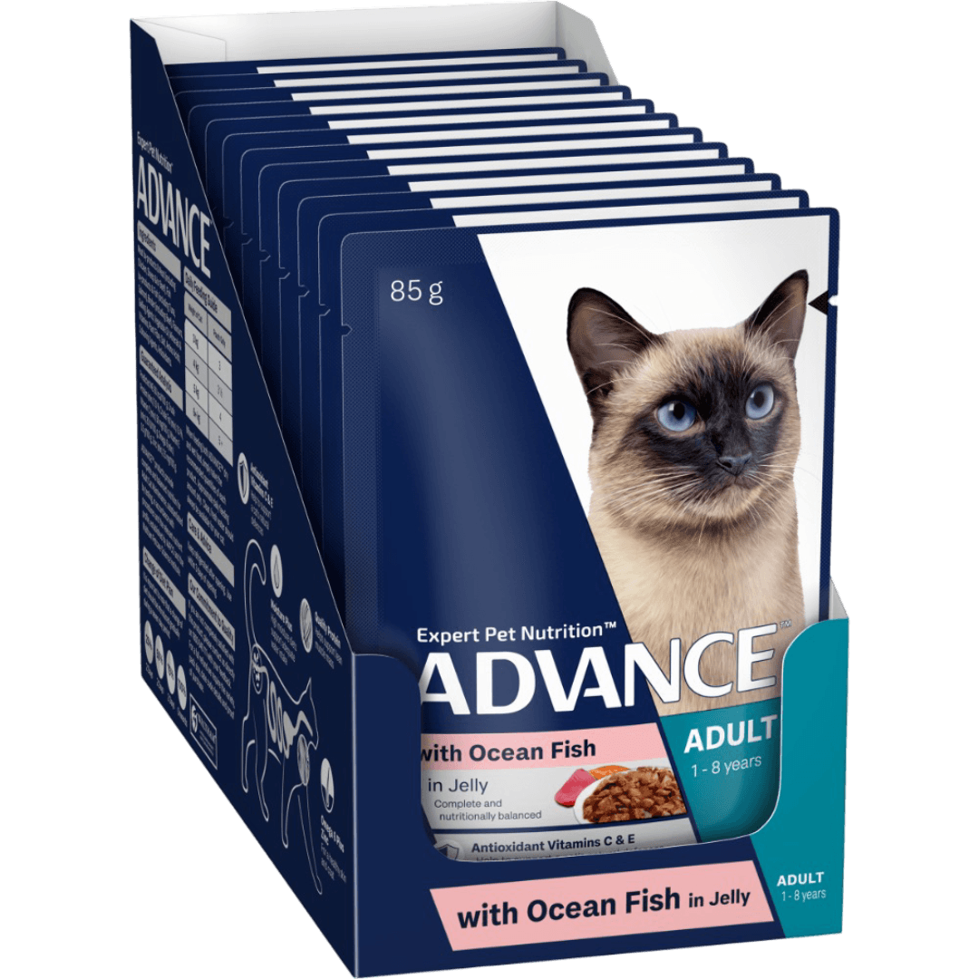 advance-adult-ocean-fish-in-jelly-wet-cat-food-pouches