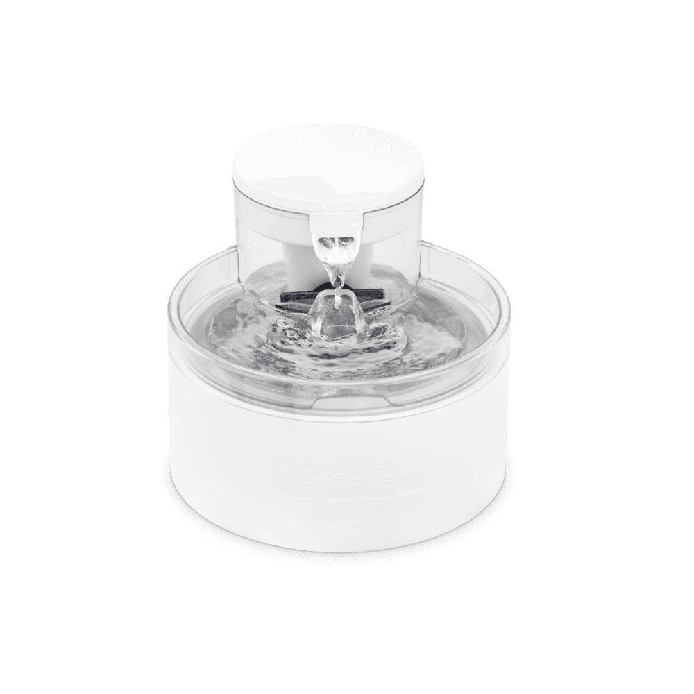 Outlast Pumpless Fountain for Cats And Dogs