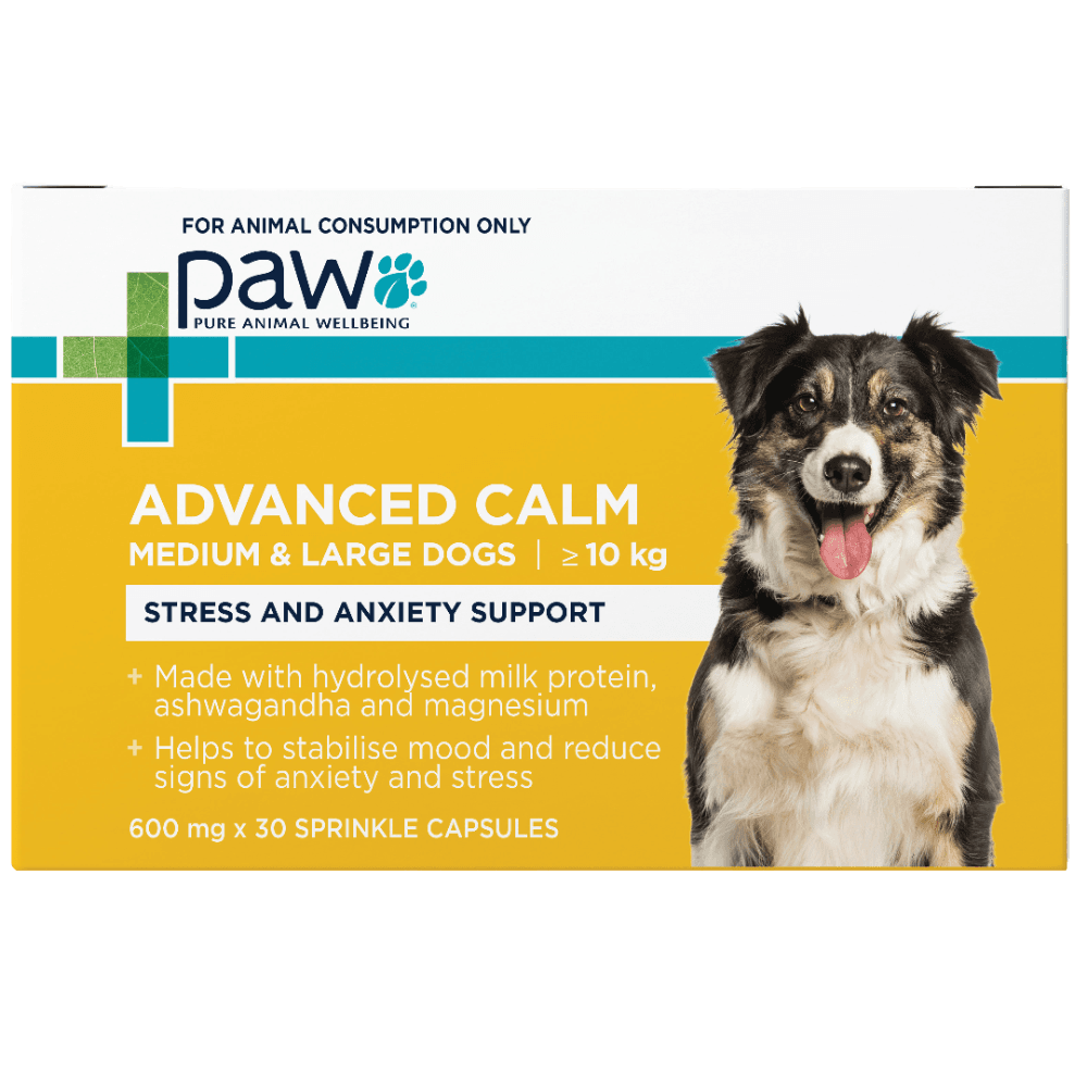 paw-advanced-calm-stress-anxiety-support-medium-large-dogs