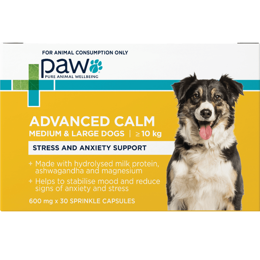 paw-advanced-calm-stress-anxiety-support-small-dogs