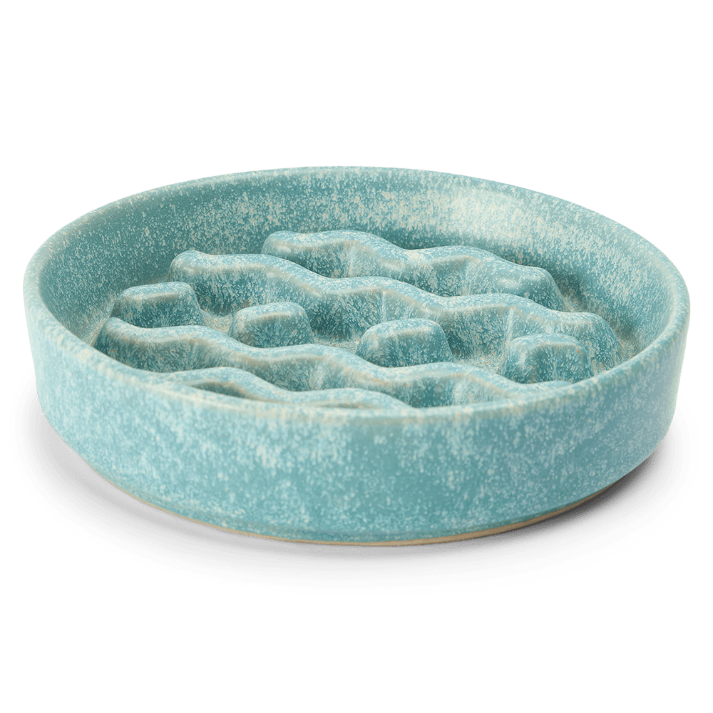 Ceramic Slow Feeder Plate Blue for Dogs and Cats