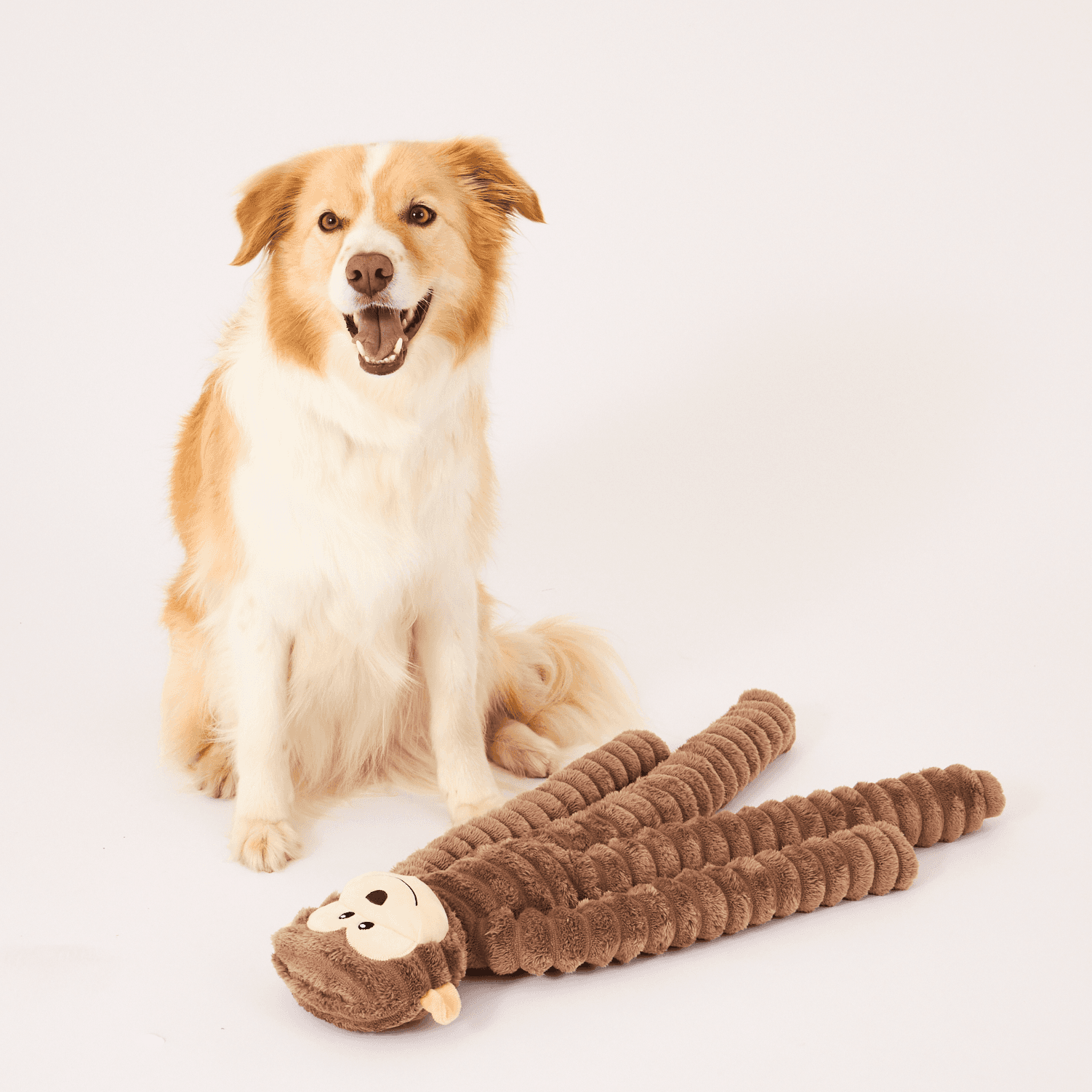 Paws for Life Extra Large Monkey Plush Dog Toy