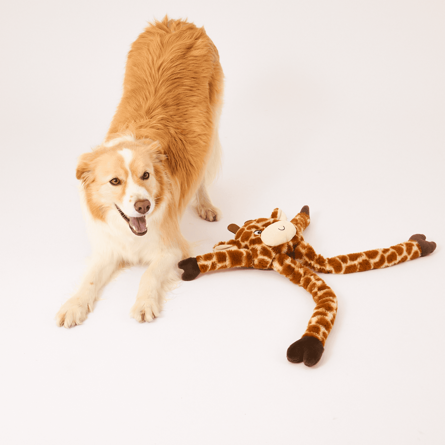 Paws for Life Girraffe With Pullable Arms Plush Dog Toy
