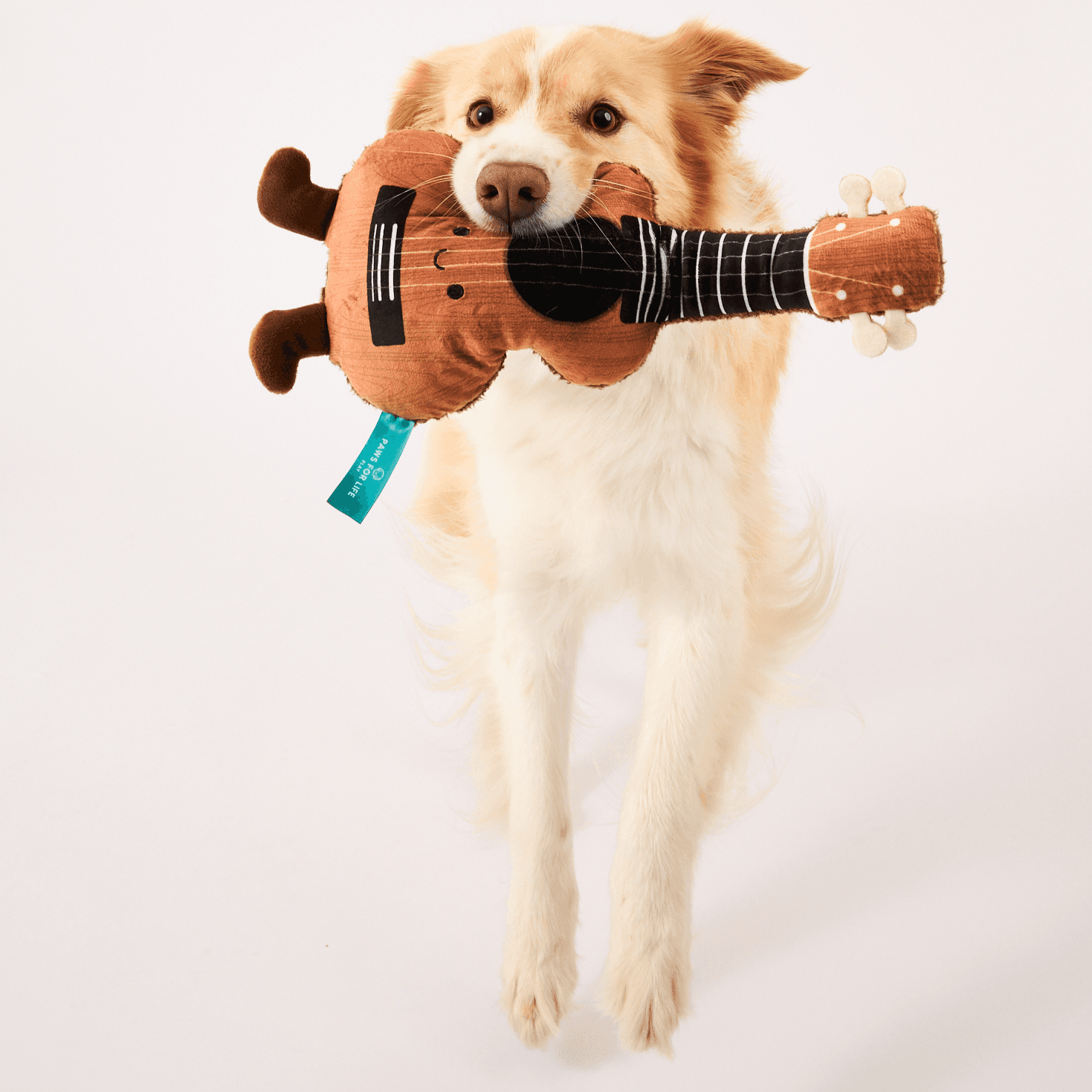 Paws for Life Guitar Plush Dog Toy