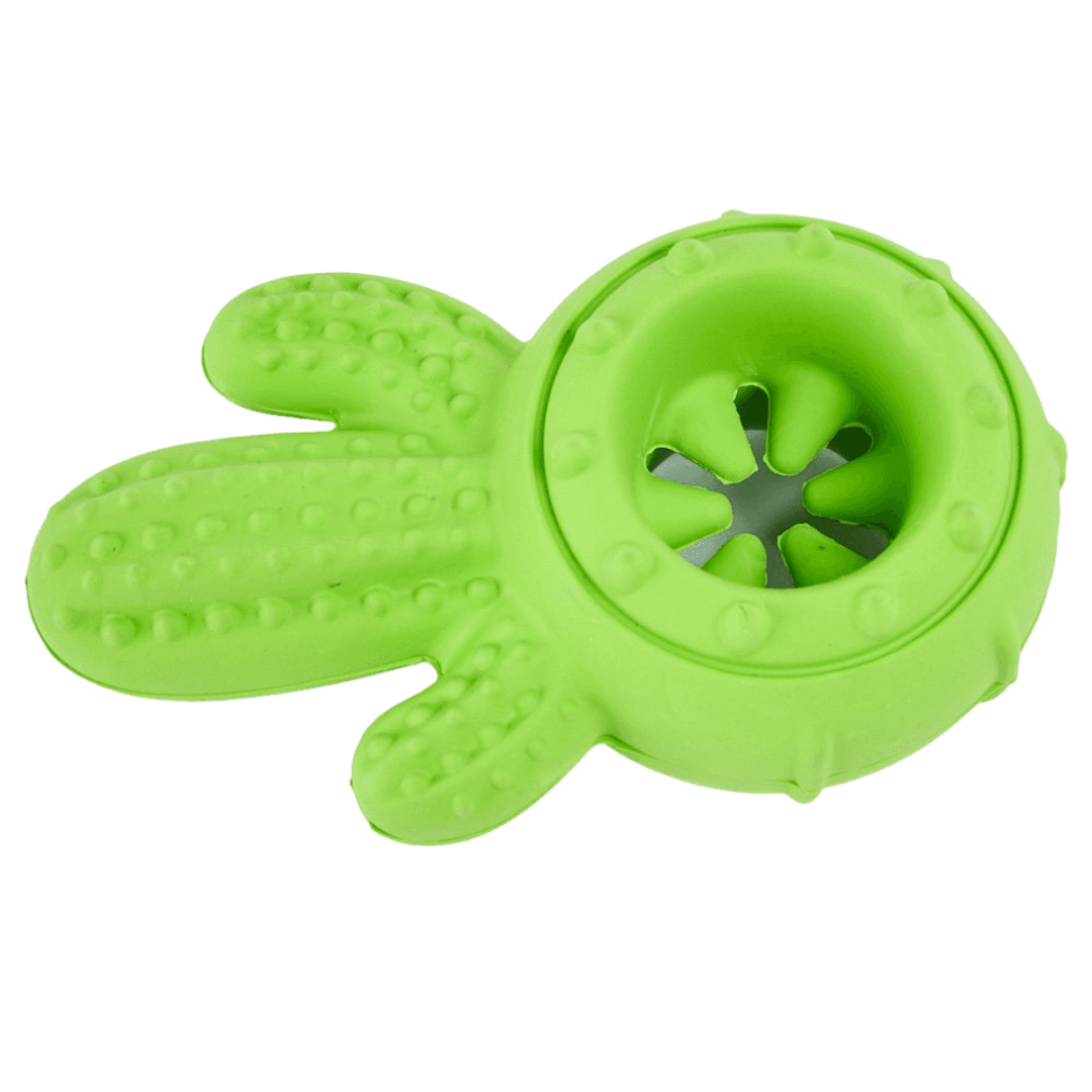 paws-for-life-bully-stick-and-chew-holder-dog-chew-toy-cactus