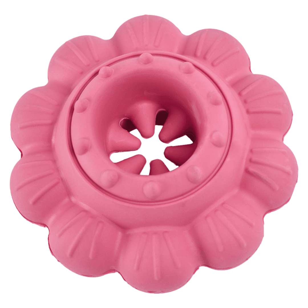 paws-for-life-bully-stick-and-chew-holder-dog-chew-toy-flower