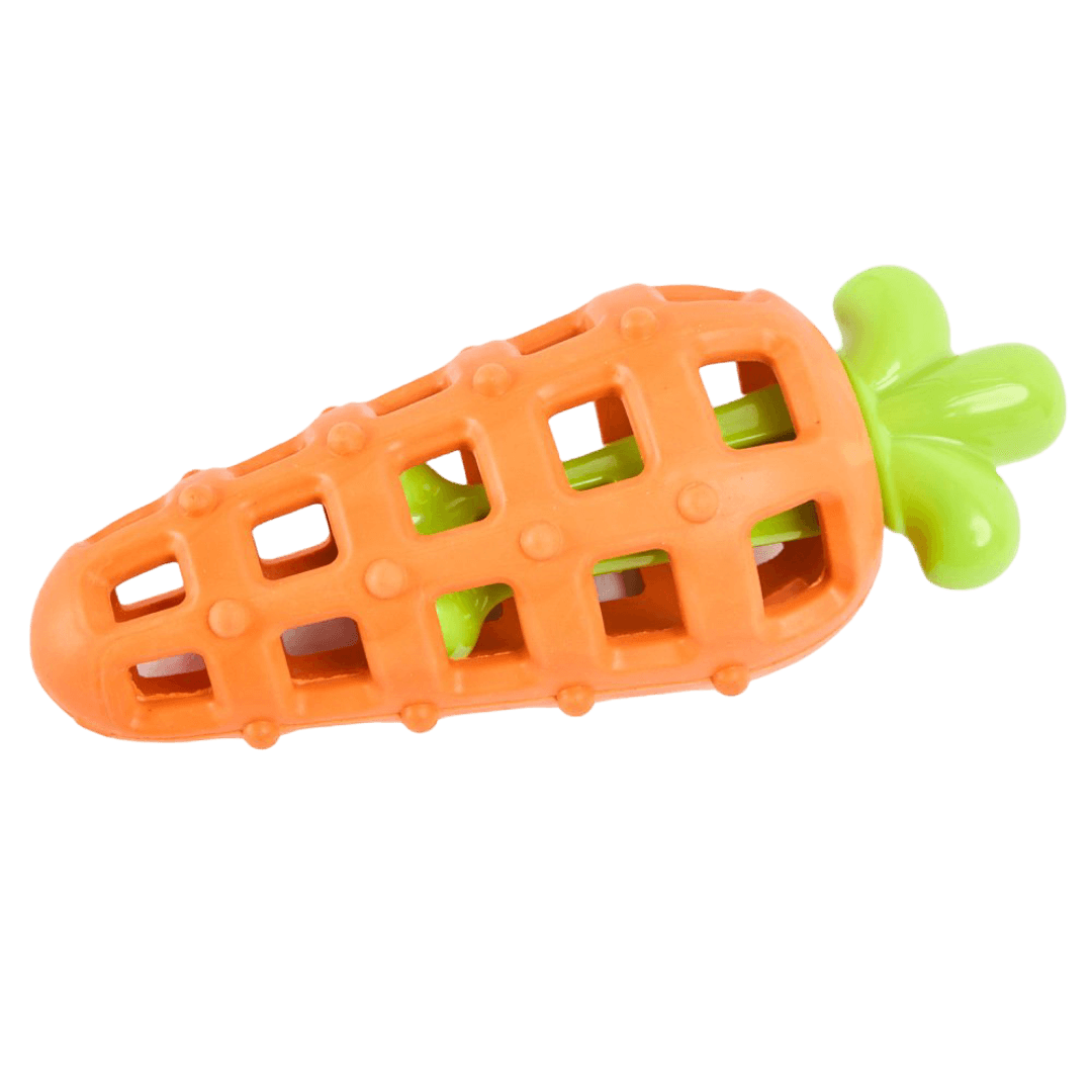 paws-for-life-2-in-1-treat-dispensing-rubber-nylon-carrot-dog-toy