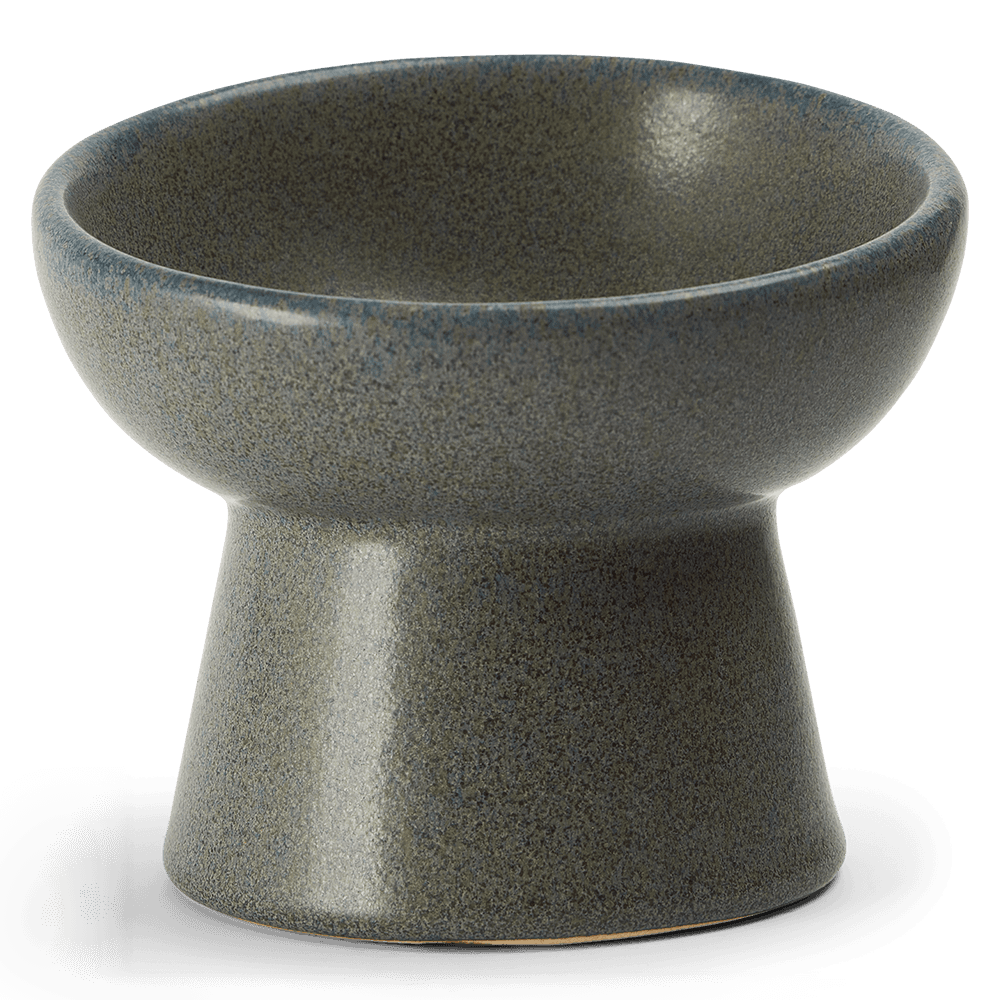 paws-for-life-ergonomic-and-elevated-ceramic-pet-bowl-black