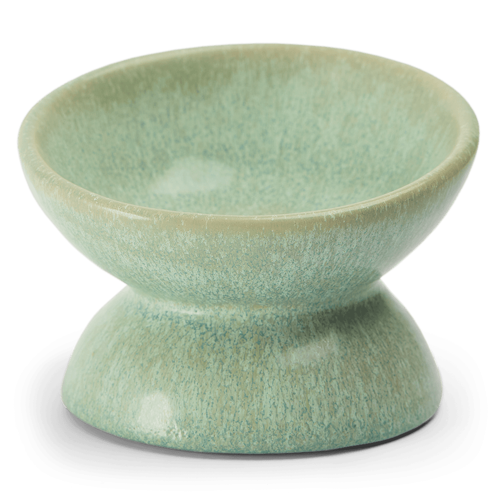 paws-for-life-ergonomic-and-elevated-ceramic-pet-bowl-sage