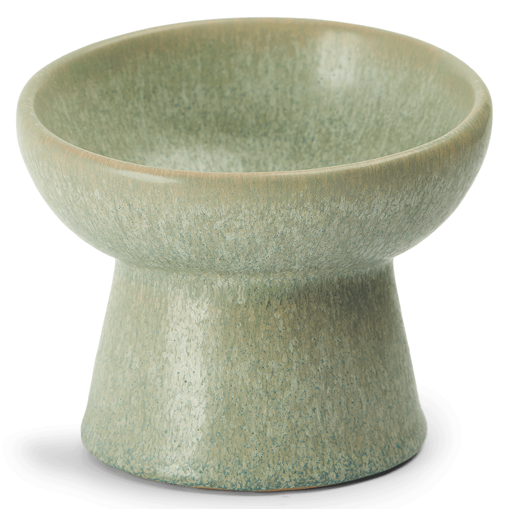 paws-for-life-ergonomic-and-elevated-ceramic-pet-bowl-sage