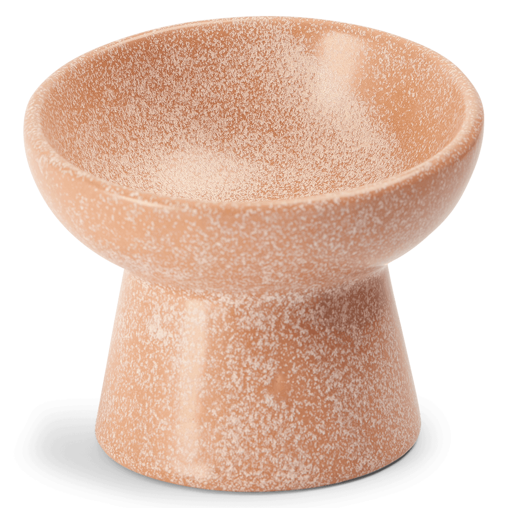 paws-for-life-ergonomic-and-elevated-ceramic-pet-bowl-pink