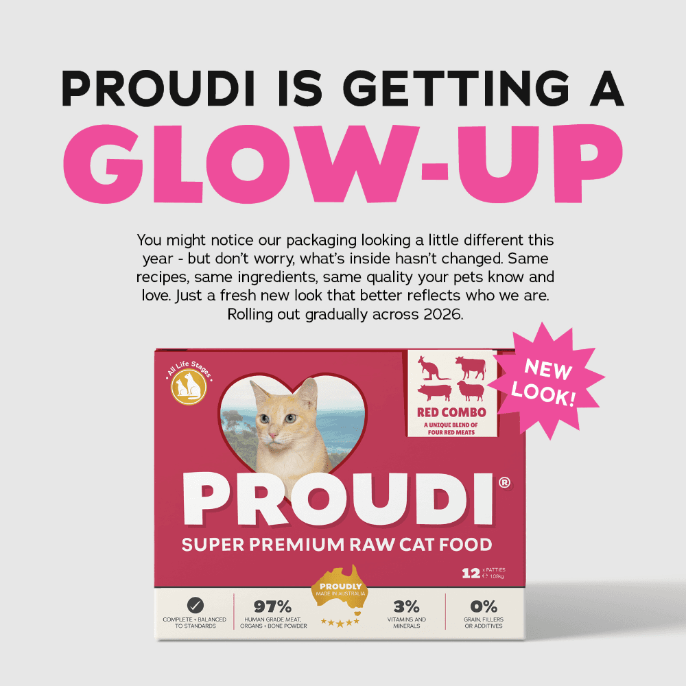 Proudi Premium Raw Red Combo Frozen Cat Food