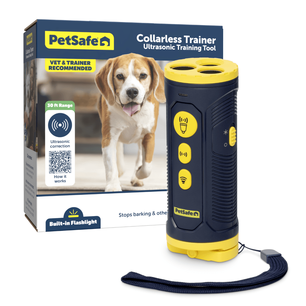 petsafe-collarless-trainer-dog