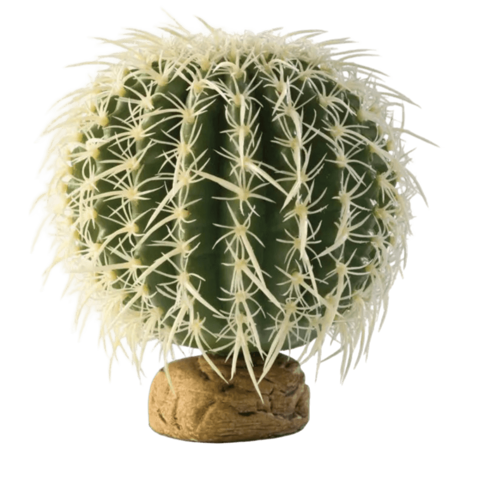 exo-terra-barrel-cactus