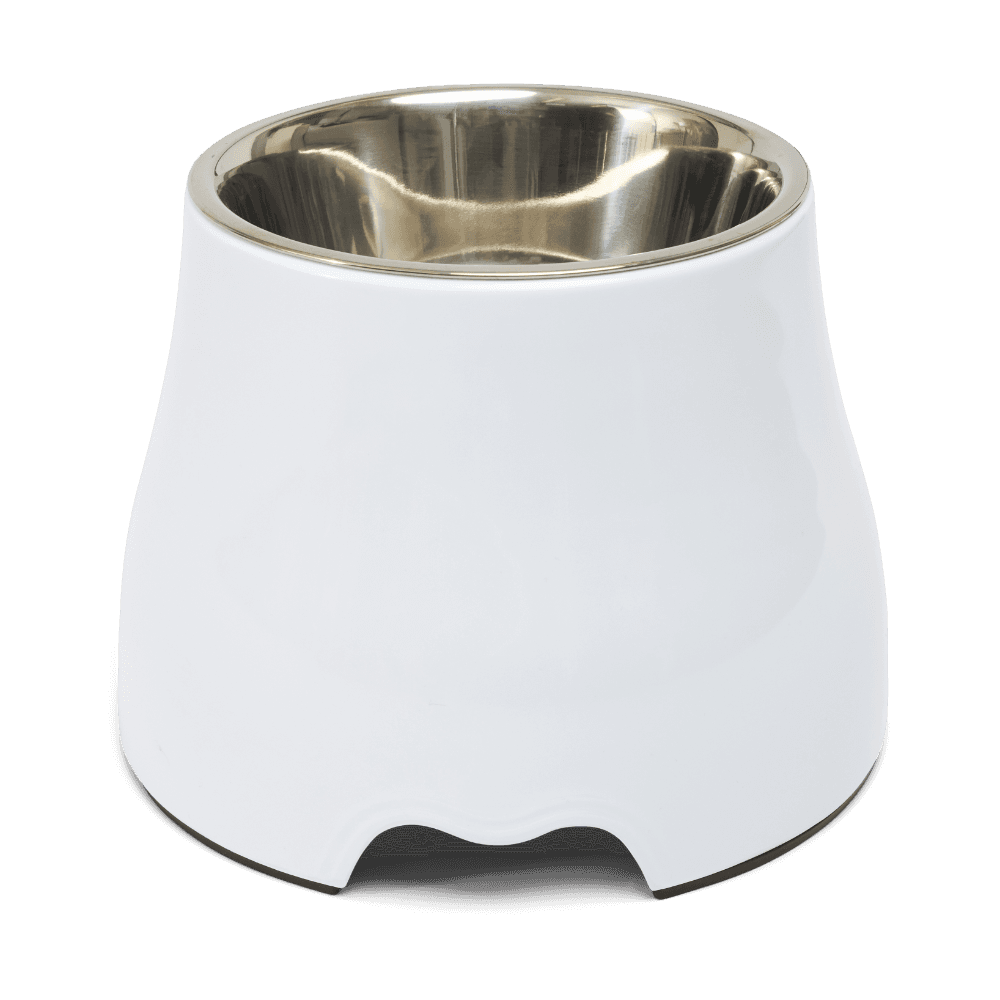 paws-for-life-elevated-dog-bowl-white