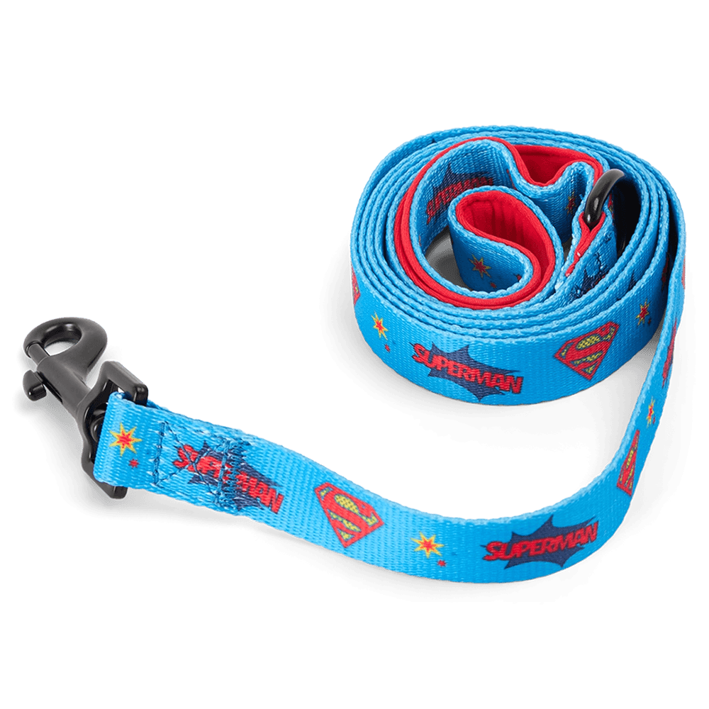 warner-bros-official-superman-black-dog-lead