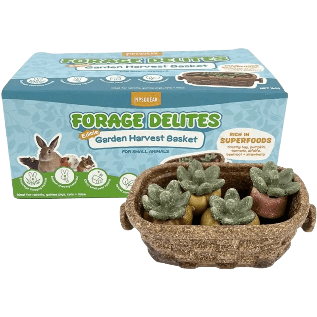 pipsqueak-forage-delites-garden-harvest-basket-small-pet-treat