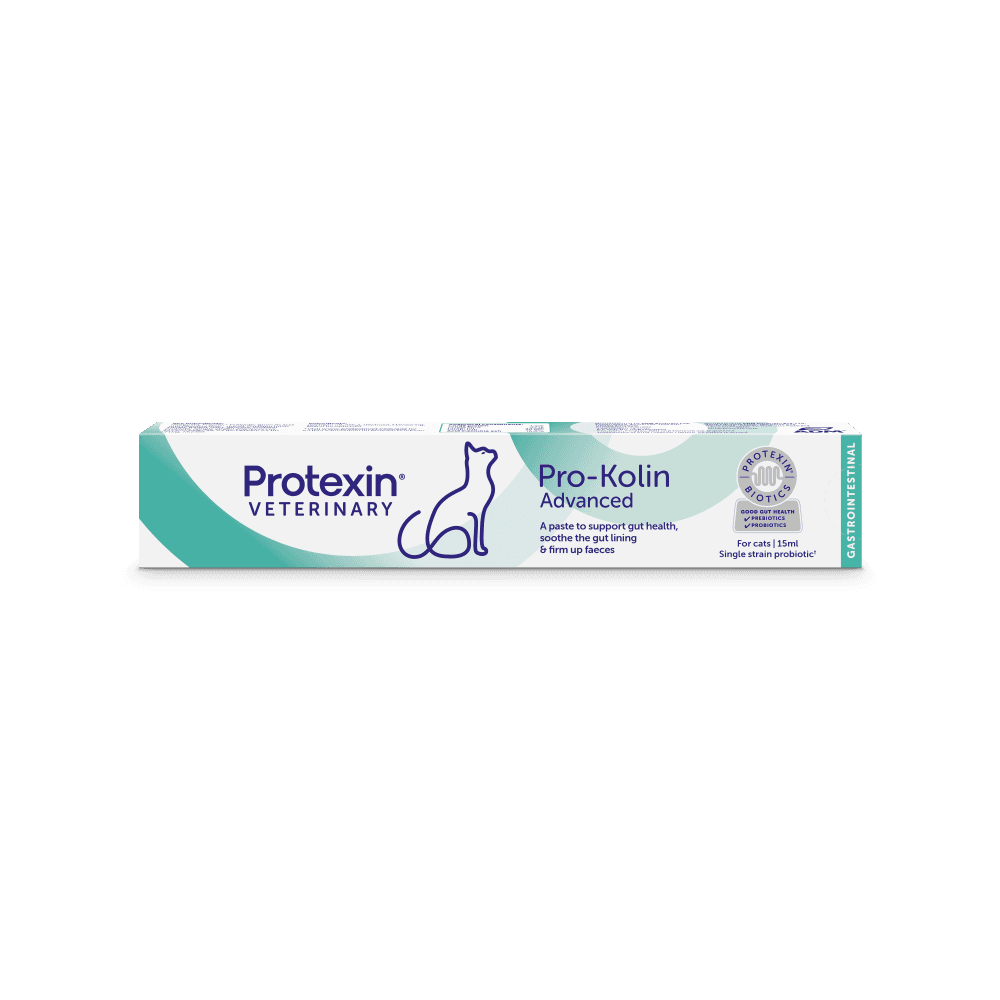 adm-protexin-pro-kolin-advanced-paste-for-cats