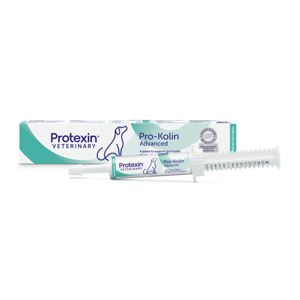 adm-protexin-pro-kolin-advanced-paste-for-dogs