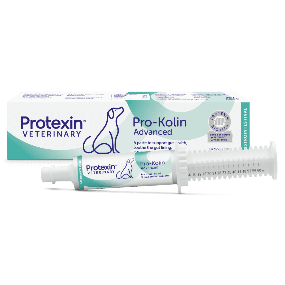 adm-protexin-pro-kolin-advanced-paste-for-dogs