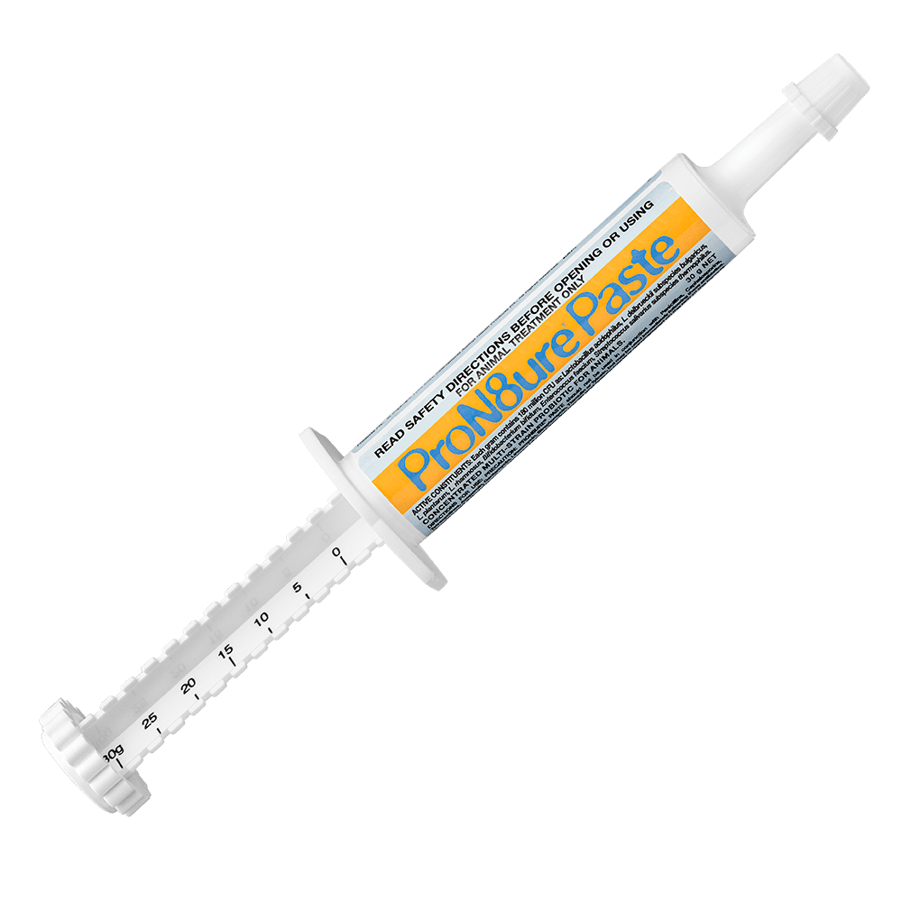 iah-pron8ure-multistrain-probiotic-paste-for-animals-and-birds