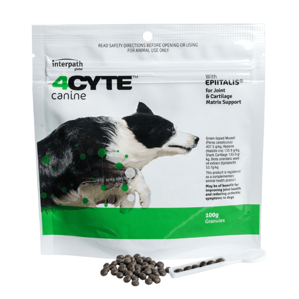 4cyte-canine-joint-support-supplement
