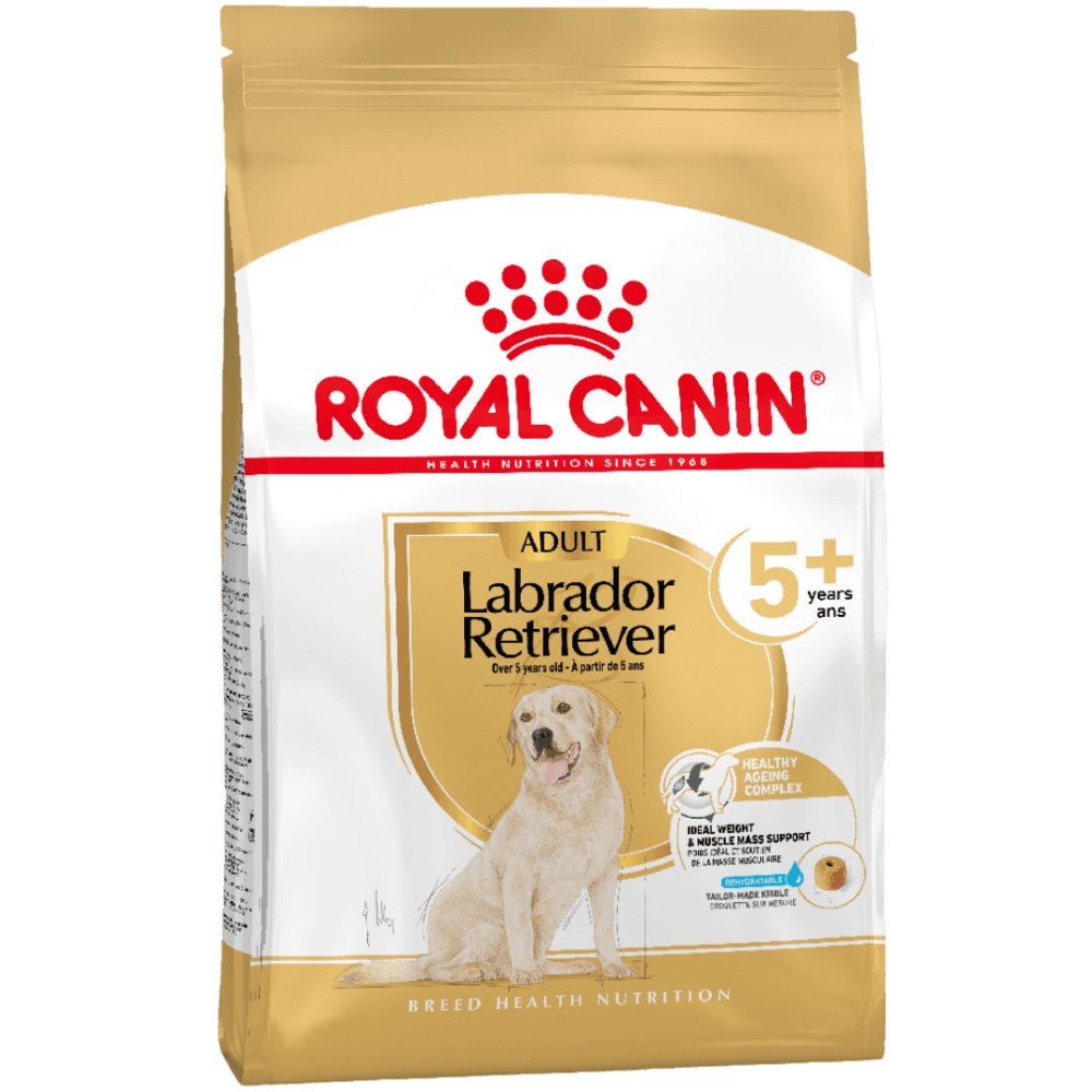 Labrador Retriever Adult 5+ Dry Dog Food