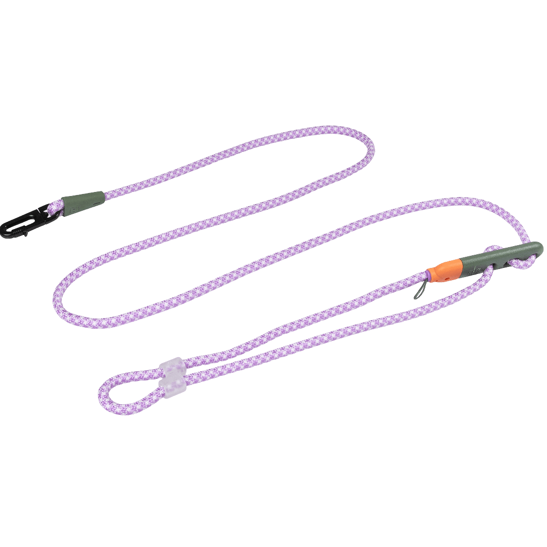 zee-dog-reebok-trekk-dog-handsfree-leash