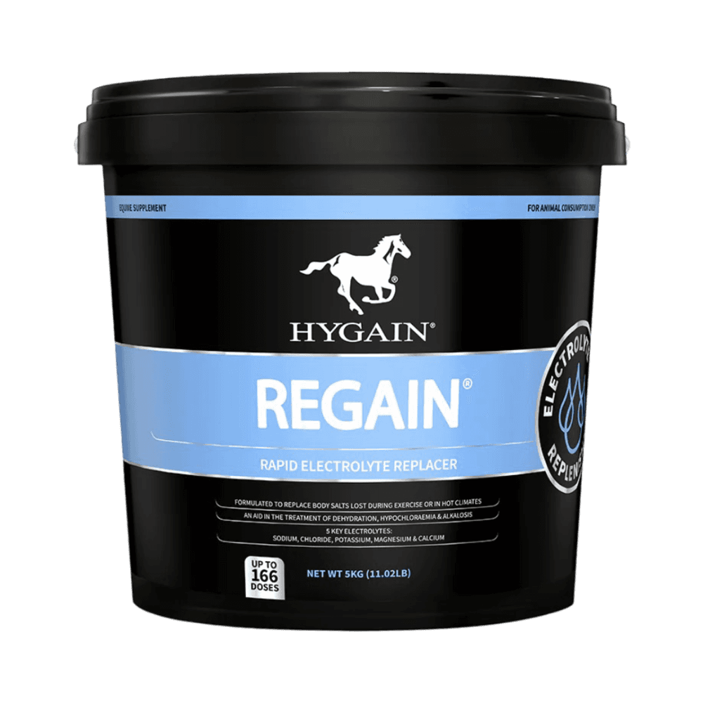 hygain-regain-rapid-electrolyte-replacer-for-horses