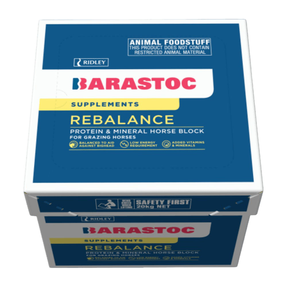 barastoc-rebalance-horse-block