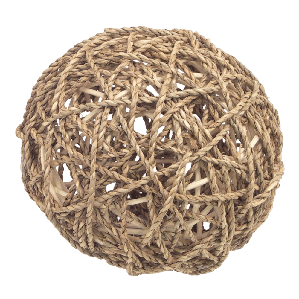 Sea Grass Fun Ball Small Pet Toy