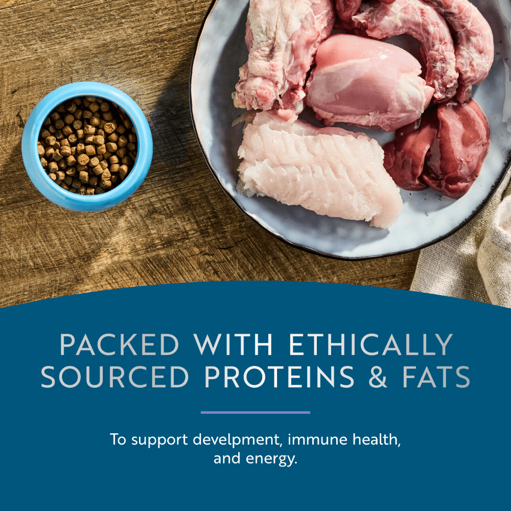 Ziwi Steam & Dried Chicken & Southern Blue Whiting Kitten Dry Food