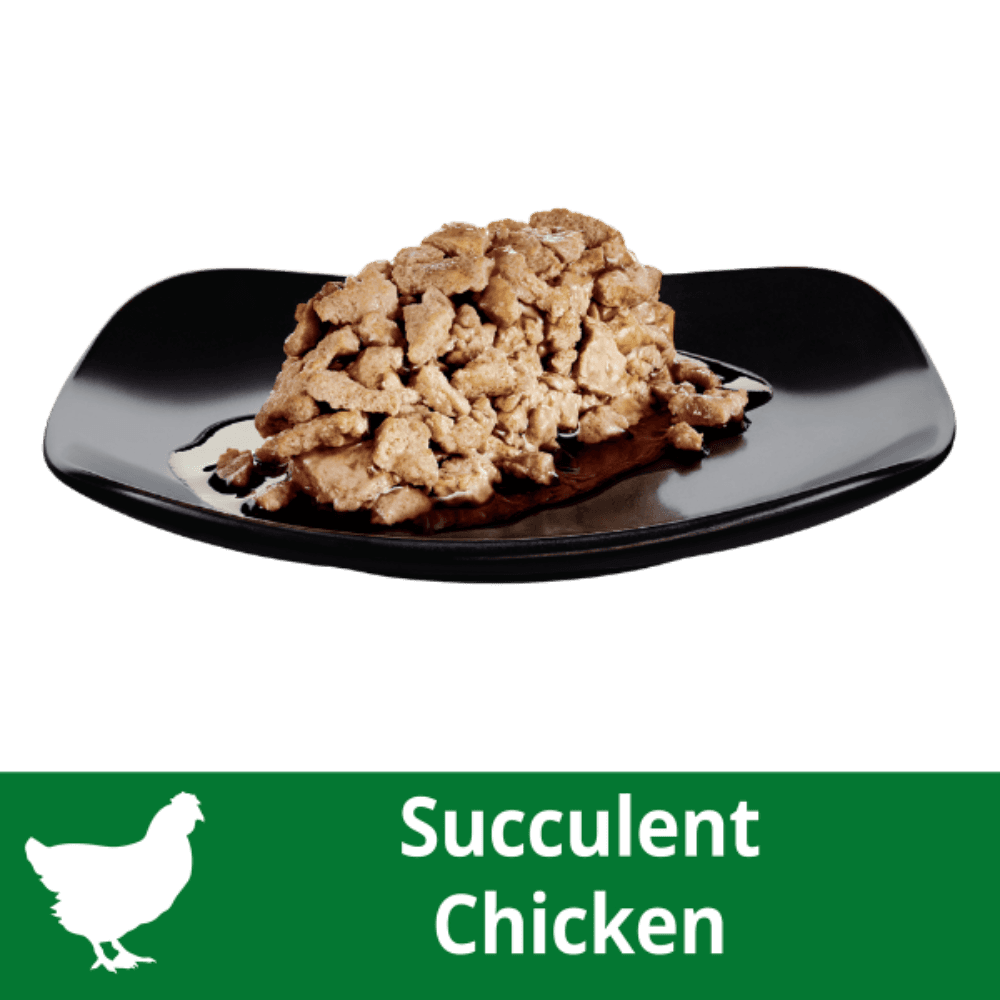 Dine Perfect Portions Chunks In Gravy Chicken Cat Wet Food Tray