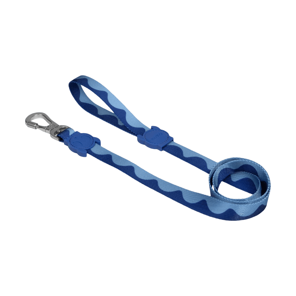 Swell Dog Leash