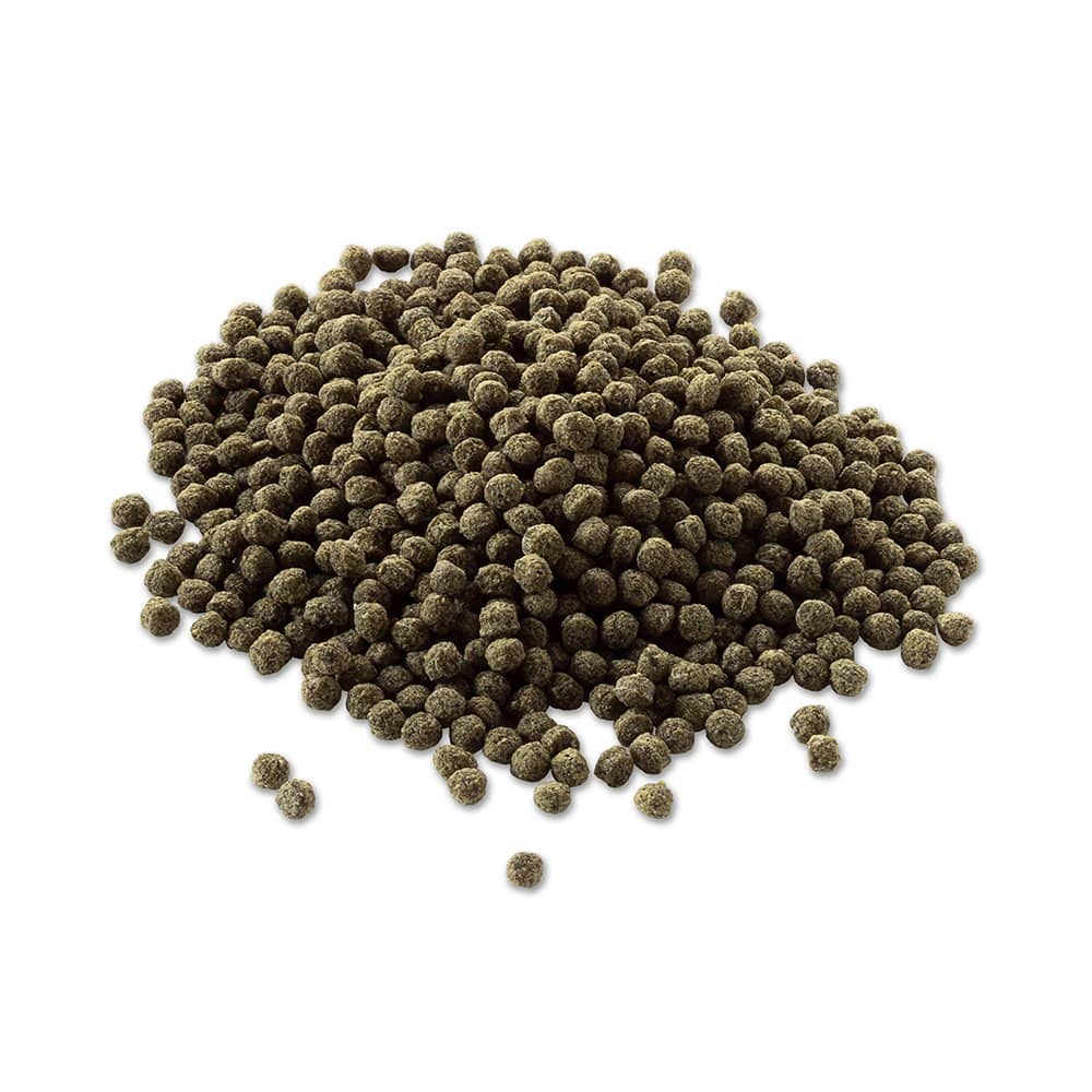 Tetra Goldfish Colour Sticks Freshwater Fish Food