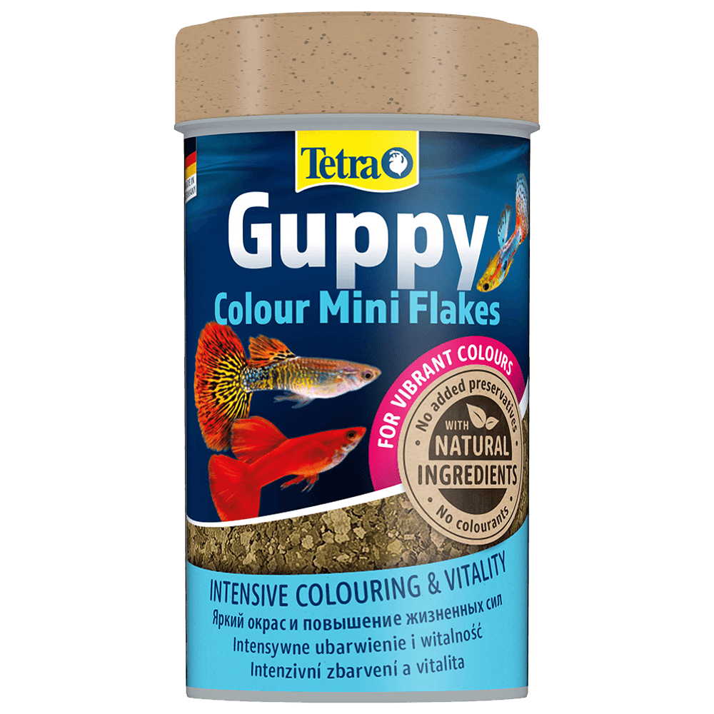 Tetra Tetra Guppy Colour Mini Flakes Tropical Fish Food