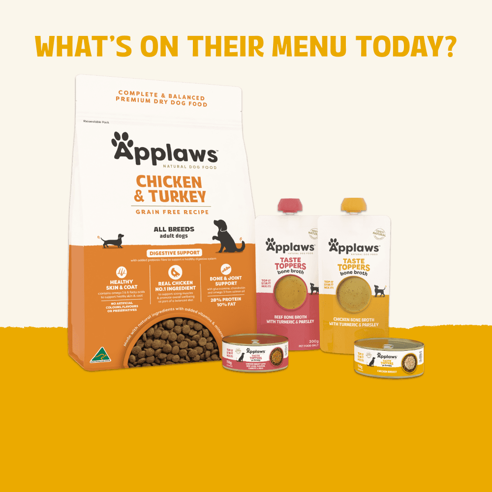 Applaws Chicken Turmeric and Parsley Broth Topper for All Lifestatges Dogs Pouch