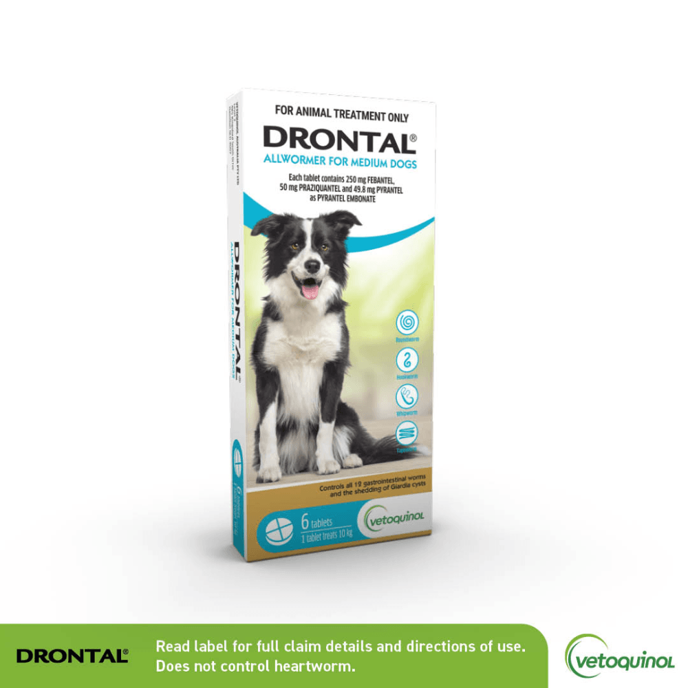 drontal-dog-allwormer-tablet-10kg