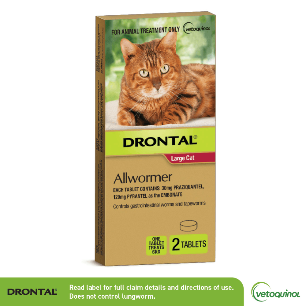 drontal-allwormer-for-large-cats