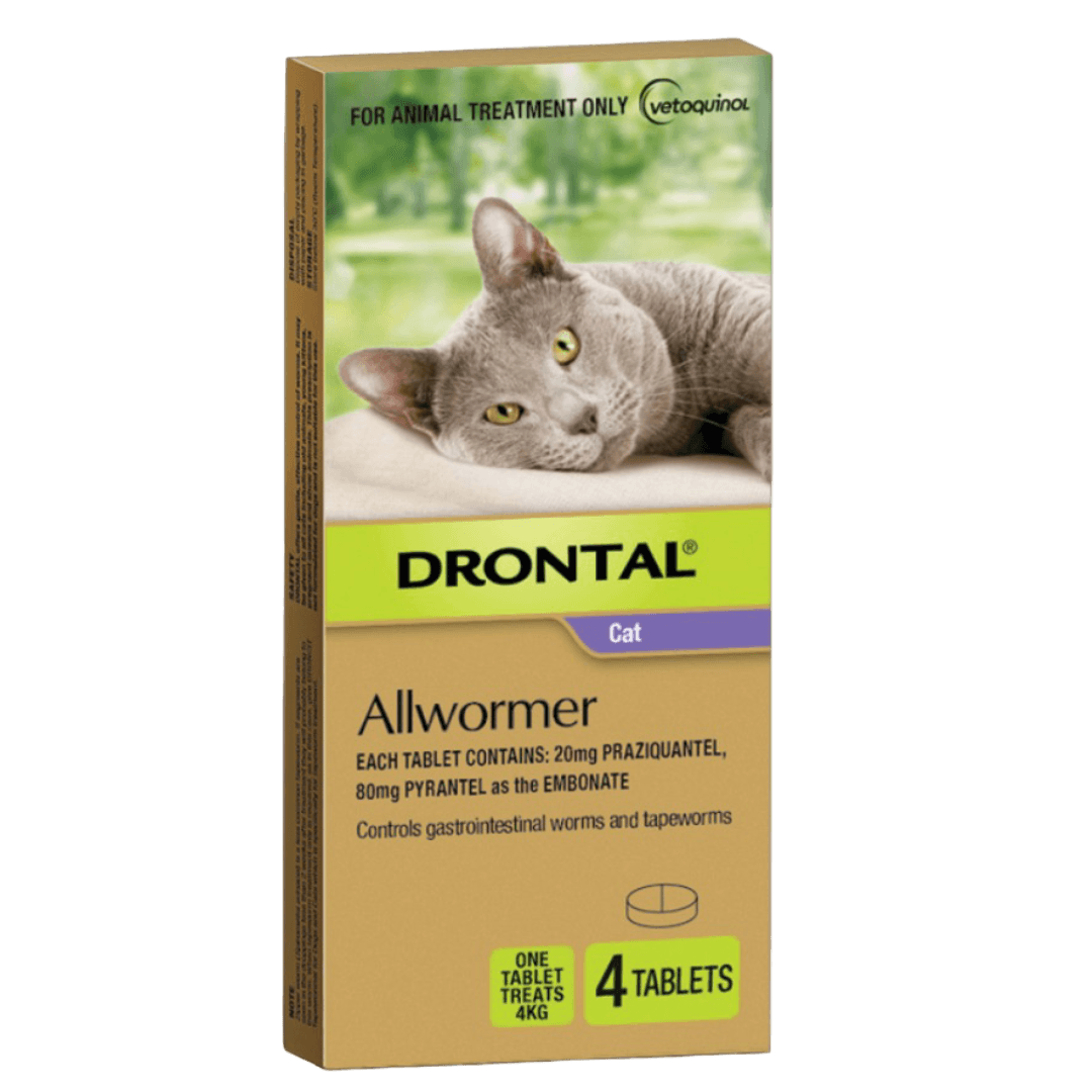 drontal-cat-wormer
